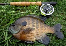 Ben Stahlschmidt 's Fly-fishing Photo of a Bluegill – Fly dreamers 