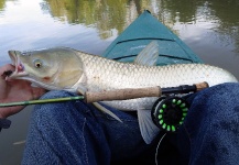 Ben Stahlschmidt 's Fly-fishing Picture of a Carp – Fly dreamers 