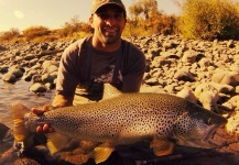 Luciano Martinelli 's Fly-fishing Photo of a Brown trout – Fly dreamers 