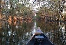  Situación de Pesca con Mosca de Lucio– Foto por David Henslin en Fly dreamers