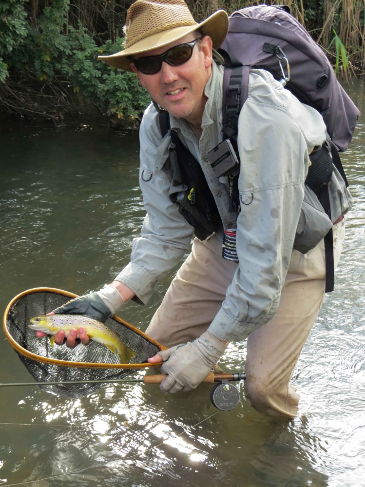 Brown trout from the Umgeni River. South Africa.