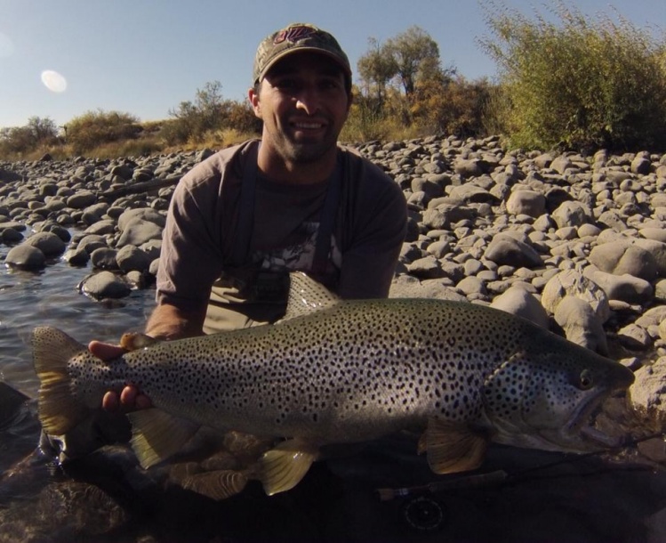 Rio Limay superior, San Carlos de Bariloche, Neuquen - rio negro, Argentina