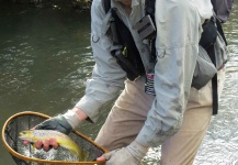  Fotografía de Pesca con Mosca de Trucha marrón por Andrew Fowler – Fly dreamers 