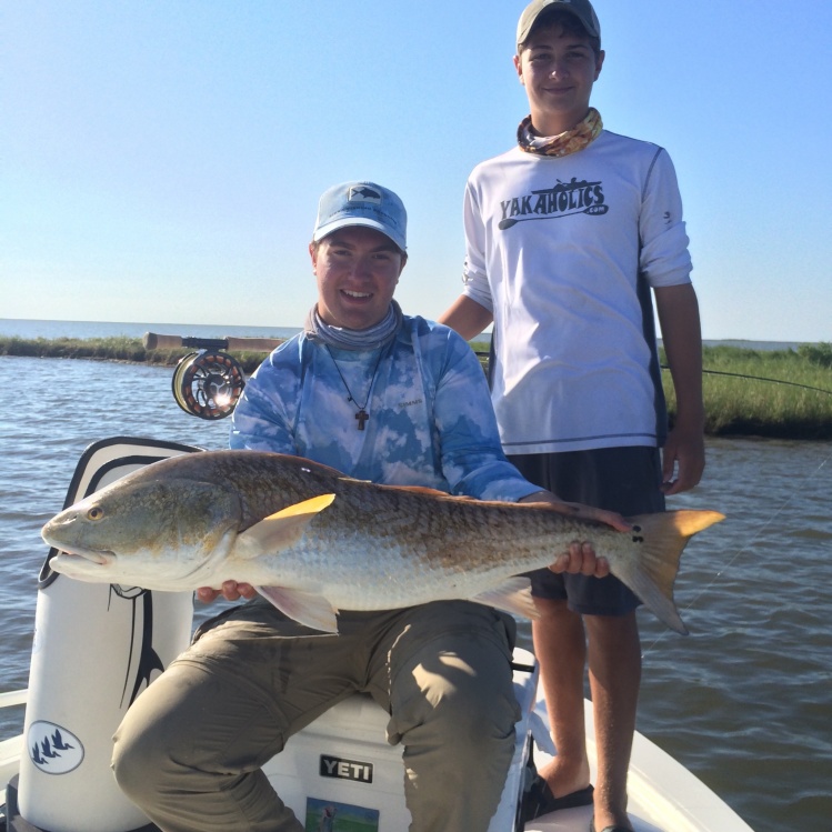 Beautiful Bull Redfish from the Gulf Coast of the Biloxi marsh