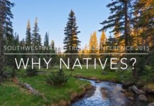 How important are native trout in your community?
