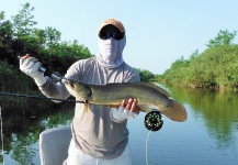 Fly-fishing Picture of Texas Cichlid - Rio Grande Cichlid shared by Semper Fly – Fly dreamers