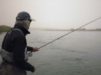 Pensando en cortar de pescar,  es el final de este día 23.Cerca del medio dia.