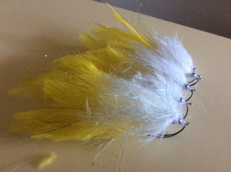 It's the start of dry season here (so no rain for next 5 or so months) 
So just tied some yellow/white THINGs for local freshwater billabong and resident Saratoga 
Tie in Six saddles, add a touch of flash, some flash and slinky fibre folded back on self