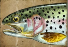 Fly-fishing Art Picture by Tito Saenz Rozas 