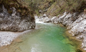 Going after brownies, Slovenia