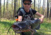 Fly-fishing Picture of Catfish shared by Nate Adams – Fly dreamers