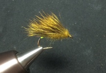 Fly-tying for Brown trout - Picture shared by Derek Burns – Fly dreamers