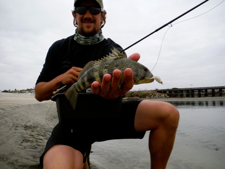 Fishing has been pretty slow lately, I was glad to have this pretty little Spotty this morning. Along with some baby Hali's.