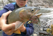 Fly-fishing Pic of Cutthroat shared by Luke Alder – Fly dreamers 