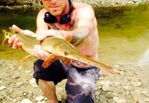 Fly-fishing Picture of Gar shared by Nate Adams – Fly dreamers