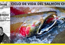 CHARLA ABIERTA: CICLO DE VIDA DEL SALMON CHINOOK
