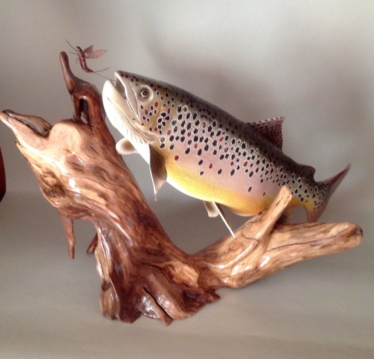 #its_a_wiley 14 inch Brown Trout leaping for a Mayfly.