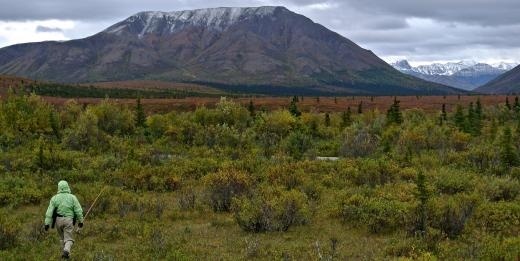 An Inside View of the Public Lands Issue