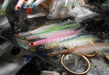 Fly-tying for False Albacore - Little Tunny - Pic shared by David Bullard – Fly dreamers 
