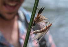  Foto de Situaciones de Pesca con Mosca por Rudy Babikian – Fly dreamers