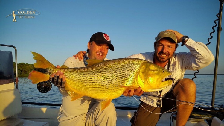 Catching this Golden Dorado on the flats it is an amazing experience. FEB/2015-Golden Fly Fishing, Argentina.