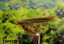 Fly-tying for Brown trout - Pic shared by Lawrence Finney – Fly dreamers 