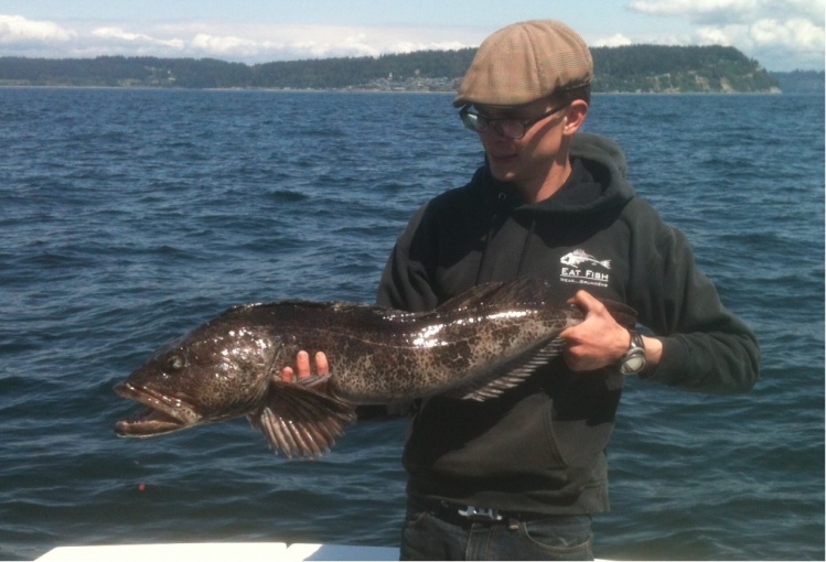 Biggest ling of 2015 so far, hardly any tide yesterday so gave up on halibut and went for lings on the fly instead, 3 others came on the live bait rods but this 35" fish grabbed in 50ft of water.