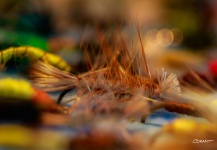 Brant Fageraas's Fly-fishing Art Photo – Fly dreamers 