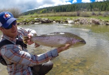 Eric Stollar 's Fly-fishing Image of a Rainbow trout – Fly dreamers 