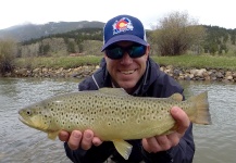 Fly-fishing Photo of Brown trout shared by Eric Stollar – Fly dreamers 