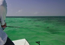 Tarpon Fly-fishing Situation – Thomas & Thomas Fine Fly Rods shared this () Image in Fly dreamers 