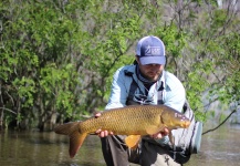 Fly-fishing Picture of Carp shared by Dan Frasier – Fly dreamers