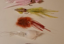 Fly-tying for Striper -  Image shared by Perry Lisser – Fly dreamers