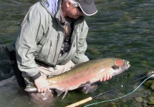 Random Steelhead Pics