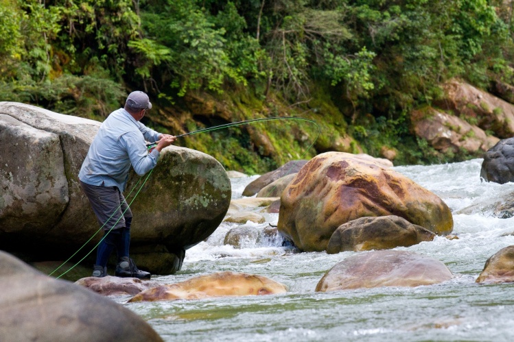 Casi se va .....  Para esta unica captura del dia, caminamos unas 6hs buscando ese pique unico.  Un dia que jamas voy a olvidar.  Rio Itirizama, Pluma Lodge , Tsimane 