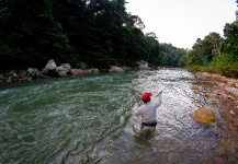 Golden Dorado Fly-fishing Situation – Dario Arrieta shared this Good Photo in Fly dreamers 