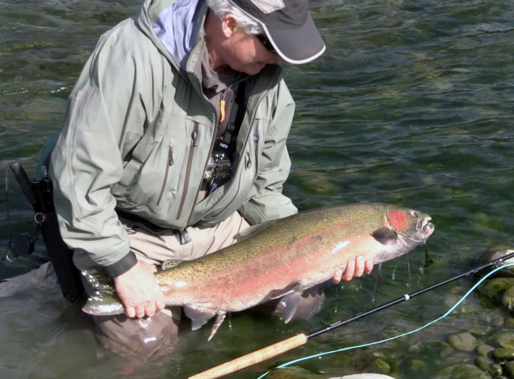 20 lb Steelhead