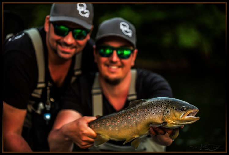 Dry fly Browntrout!