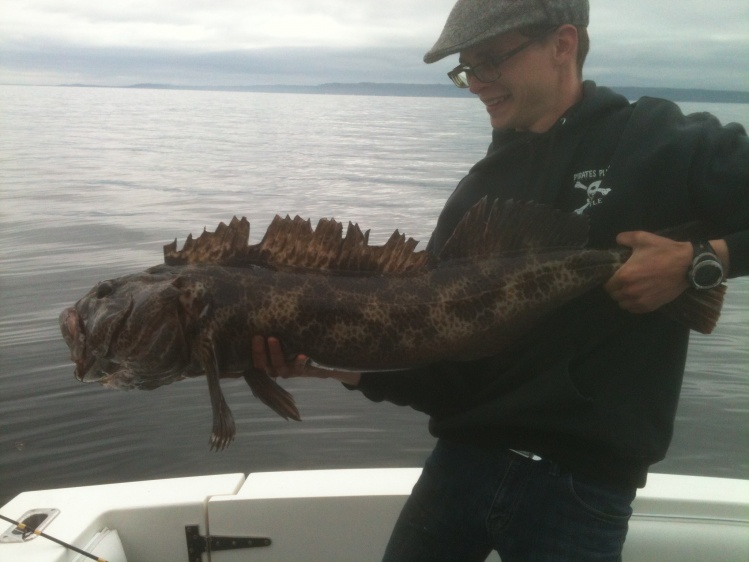 Why do the biggest fish always show up when you forget your good camera? chock it up to destiny i guess. First oversize of the year at 44", properly and safely released in good condition. 