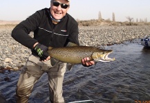 Fly-fishing Photo of Brown trout shared by Hector Tripi – Fly dreamers 