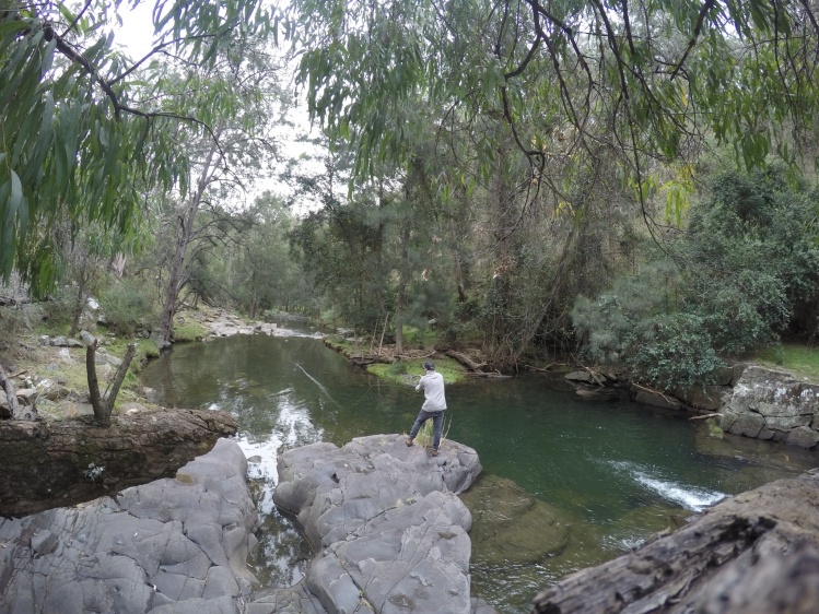 some really cool woodland creeks in New South Wales