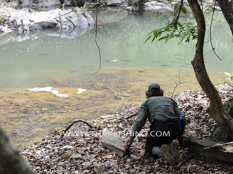 Mahseer fly fishing with <a href="https://www.thai-fishing.com">https://www.thai-fishing.com</a>