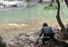 Mahseer Fly-fishing Situation – Thai Fishing shared this Good Pic in Fly dreamers 