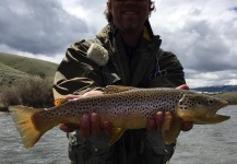 Mike Rahl 's Fly-fishing Image of a Brown trout – Fly dreamers 