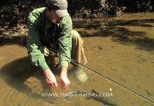 Thai Fishing 's Fly-fishing Picture of a Mahseer – Fly dreamers 
