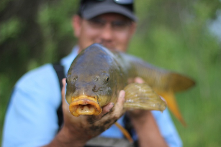 Check out the article I wrote for Gink and Gasoline about blowing a big fish. 

<a href="http://www.ginkandgasoline.com/carp/pothole-fish-with-john-i-missed/">http://www.ginkandgasoline.com/carp/pothole-fish-with-john-i-missed/</a>