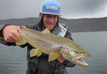 Mountain Made Media 's Fly-fishing Pic of a Brown trout – Fly dreamers 