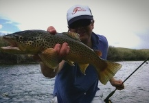 Troy Bccs 's Fly-fishing Pic of a Brown trout – Fly dreamers 