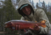 Rudy Babikian 's Fly-fishing Photo of a Cutthroat – Fly dreamers 