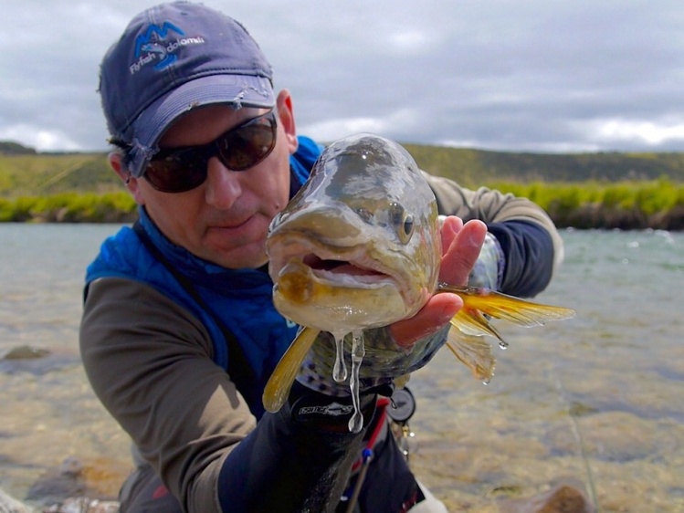 The big one ! On amazing river in New Zealand - (South Island)